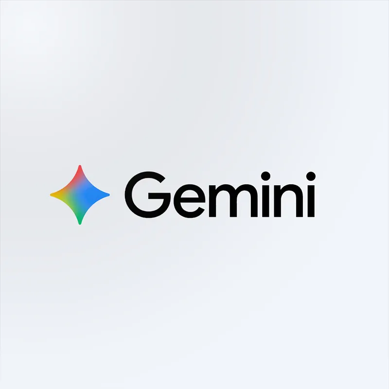 Billede af kompetence – Gemini